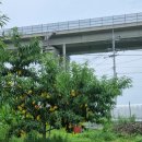 승찬농원 이미지