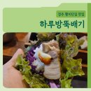 뚝배기 | 경주 황리단길 맛집 하루방뚝배기 방문 후기