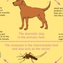 서울혜화약국 이미지