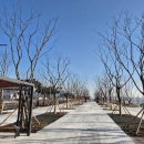 도시상징광장2 이미지