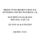 코디 지적, 변경 좀 해주라 제발 ㅠ̑̈ 이미지