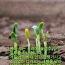 &#34;&#39;수산회&#39;(水山會) 73회 &#39;인왕산숲길&#39; 산책 및 &#39;국립대한민국임시정부기념관&#39; 탐방&#34;＜2025.03.19(수)＞ 이미지