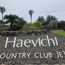 부영컨트리클럽 | 제주 해비치cc 회원제 코스 라운드 후기