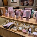 냥이랑 | 스타벅스 냥이마들렌 봄 신메뉴 후기 라떼조합