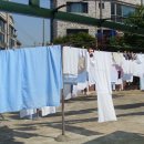 평화세탁 이미지