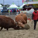 화산주유소 이미지