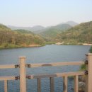 일MTB 이미지