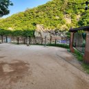 울주 대곡리 반구대 암각화 이미지