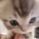 은성PC방 | ♡ Lovefool ♡