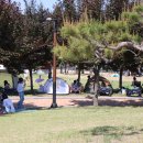 삼성현역사문화공원 이미지