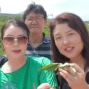 명창농장 네이버블로그
