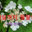 100살 까지 팔팔한 관절 관리법 이미지