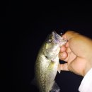 광신대교 이미지