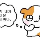 퍼머넌트 이미지