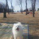 뭉치