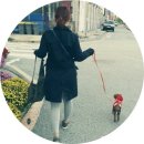 원더우멍 이미지