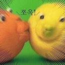 라고마르 이미지