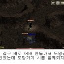 은빛여우 이미지