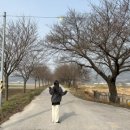 요천상로 네이버블로그