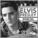 His Latest Flame - Elvis Presley 이미지