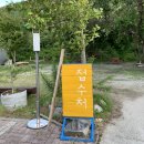 고인돌 오토캠핑장 | 강원도 양양 6월 캠핑 : 고인돌 오토캠핑장 후기!