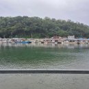 CU 영덕강구대게로점 | [경북 영덕] 대게철이네요, 먹으러 갑시다 '영덕대게 안동횟집 71호' 솔직 후기 내돈 내산.