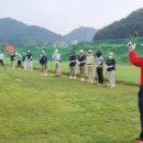 사파동176 이미지