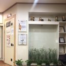 도계한의원 이미지