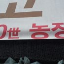 종화농장 네이버블로그