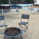 제부 포레스트 이미지