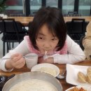 나무향기펜션&커피