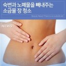 숙변과 노폐물을 빼내주는 소금물 장 청소 이미지