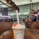 강변들보람 | [2506 프라하 여행] 1일차 : 두바이 경유와 블타바 강변 산책