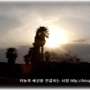 [영어찬양] 한국인이 좋아하는 영어찬양모음 이미지