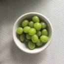 아이비씨호텔 | [임신 21주] 임산부 유럽 해외 출장 후기(두번째 태교여행 @네덜란드 암스테르담)