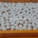 봉곡동315 이미지