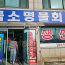 일만배PC 이미지