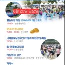 섬진강 황금 재첩 축제 일정 황금 찾고 재첩 먹는 하동군 섬진강 재첩 2025년 6월 축제