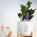 더채움 행정사사무소 네이버블로그