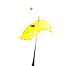 노랑머리앤 이미지