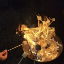 동화카라반 이미지