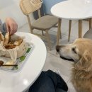 무병짱수 이미지