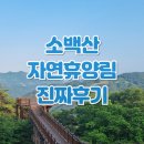 남천마을길 | 소백산자연휴양림 단양 가격 예약 숲나들e 후기 바베큐 휴양관 정감록 숲속의 집 4인실 8인실 계곡...