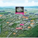 우석대부속전주한방병원 이미지