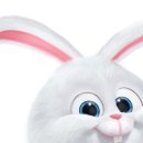 동영농장 이미지