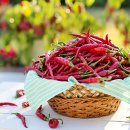 매운맛의유혹 이미지