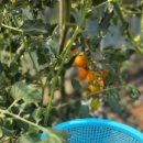 코앤코이비인후과의원 이미지