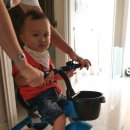 프뢰벨 토탈시스템 14개월 3주차 후기 환경을 알아요 +) 20개월 아기 북트리