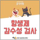 이든 동물의료센터 이미지