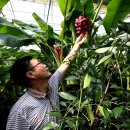 김선식농장 이미지